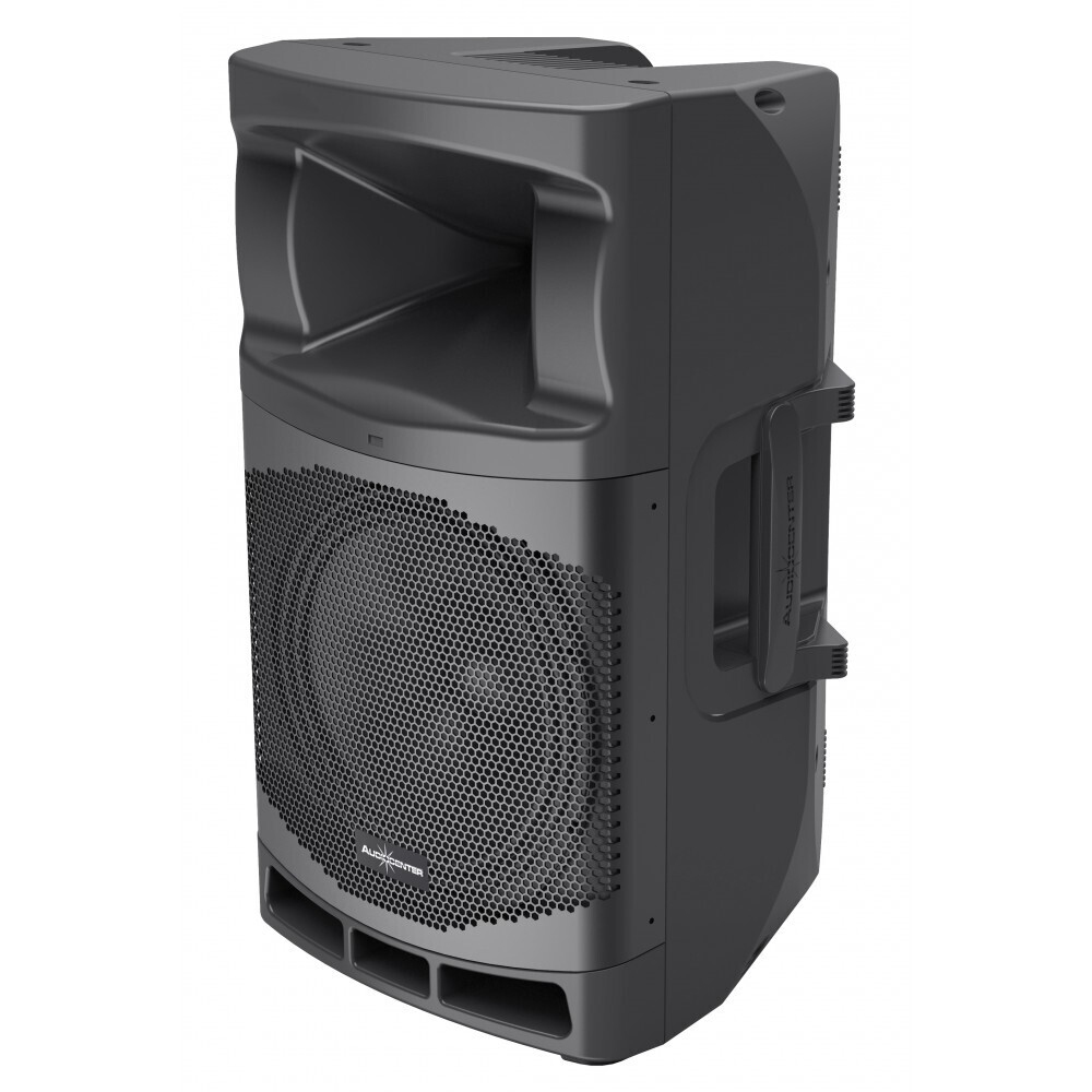 Audiocenter MA12 активная акустическая система в Калмыкии