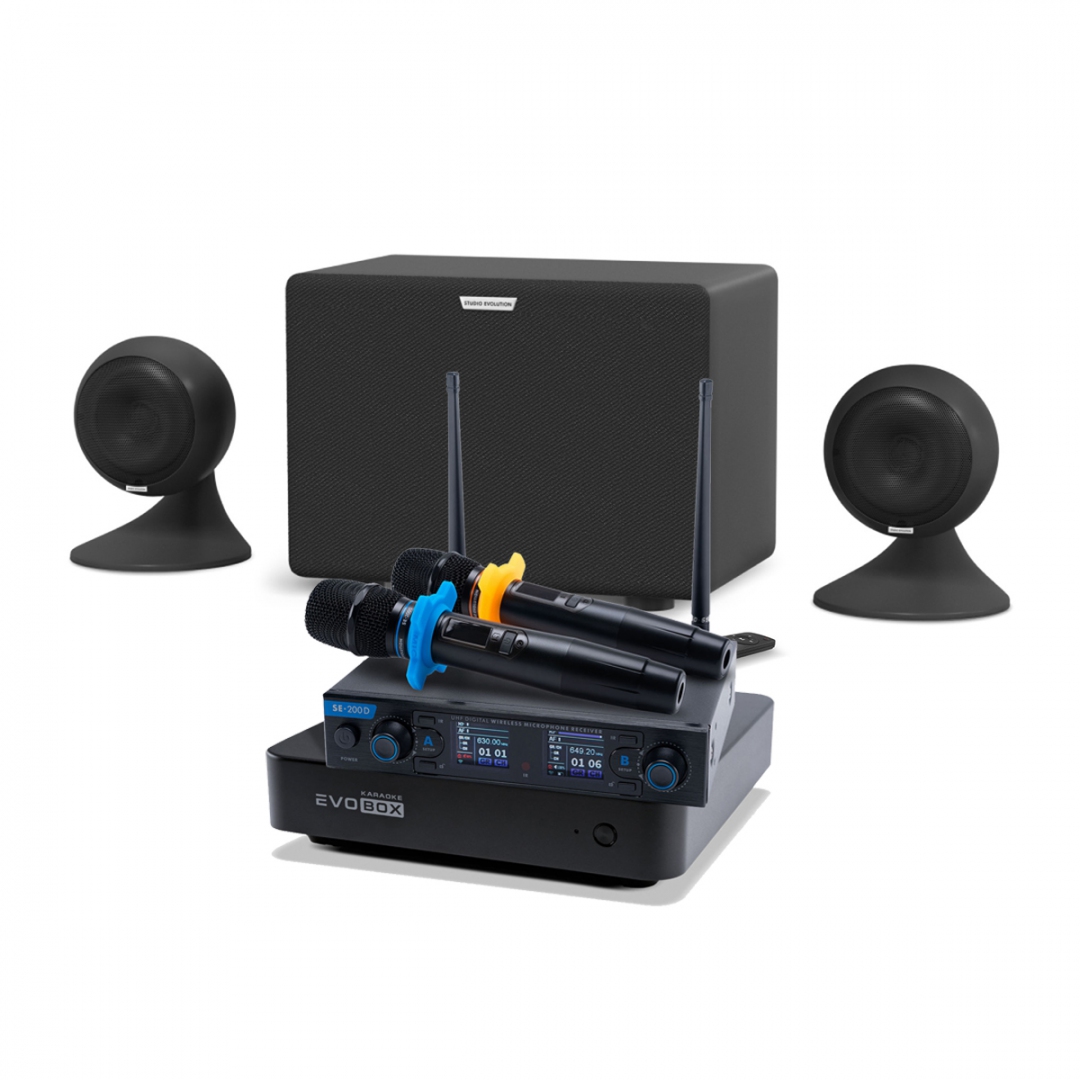 караоке-комплект EVOBOX + EvoSound Sphere 2.1 в Калмыкии