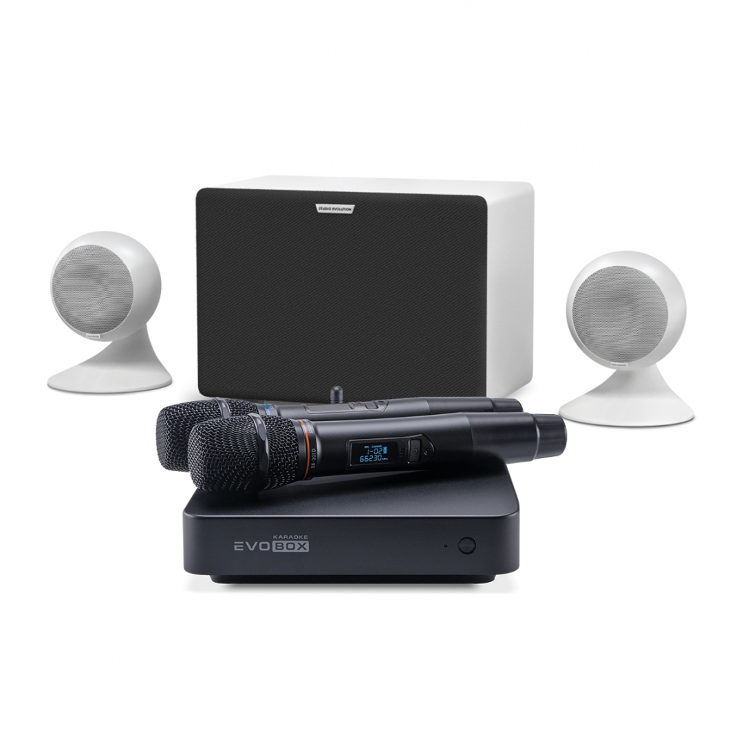 караоке-комплект EVOBOX Classic + EvoSound Sphere 2.1 в Калмыкии