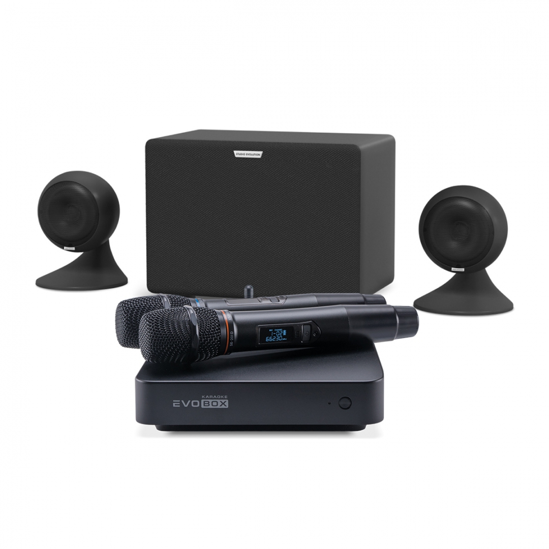 караоке-комплект EVOBOX Plus + EvoSound Sphere 2.1 в Калмыкии