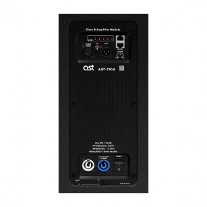 Активная акустическая система AST-310A в Калмыкии
