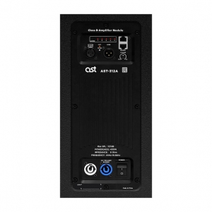 Активная акустическая система AST-312A в Калмыкии