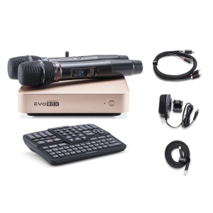 EVOBOX Classic караоке-система для дома в Калмыкии