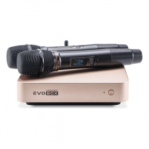 EVOBOX Plus караоке-система для дома в Калмыкии