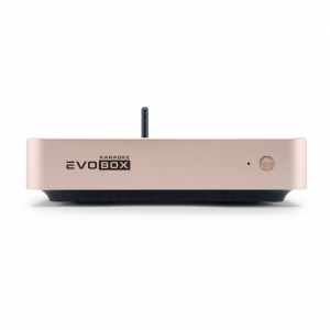 EVOBOX Plus караоке-система для дома в Калмыкии