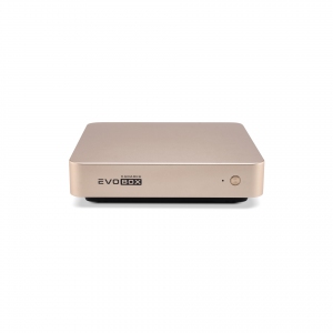 EVOBOX с микрофонами в Калмыкии