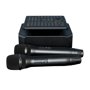 караоке-комплект для Дома AST ZOOM 1/2 и AST-SM6A в Калмыкии